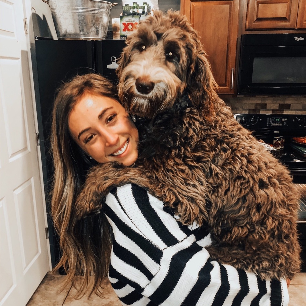 Meet your Posher, Bailey